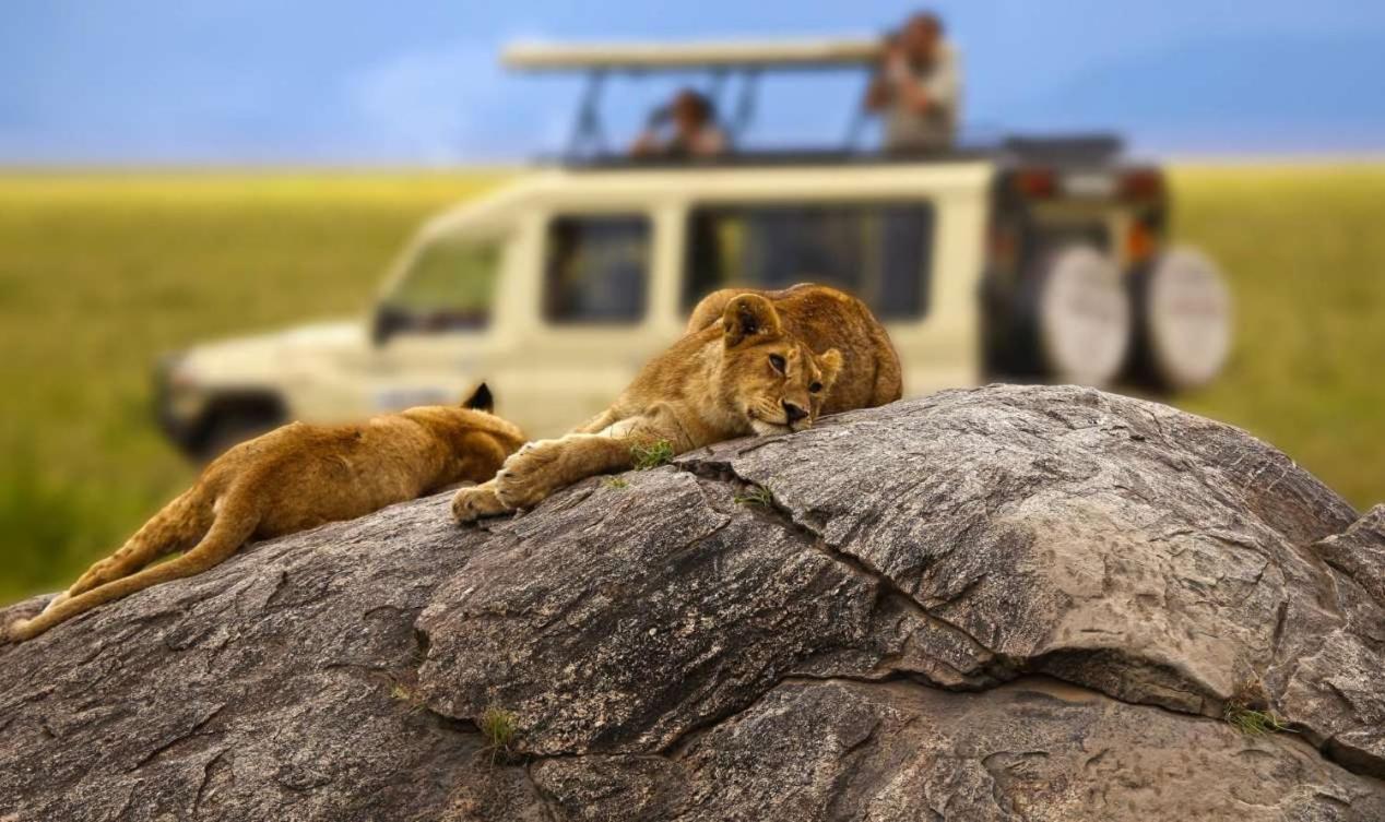 Rayan Apartments & Safaris Arusha Luaran gambar